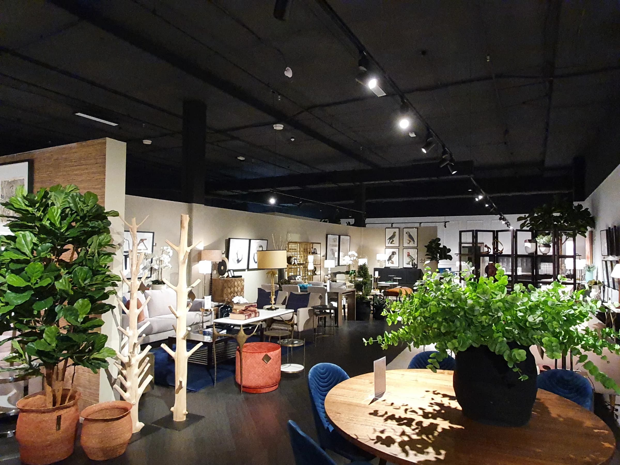 Contents International Design