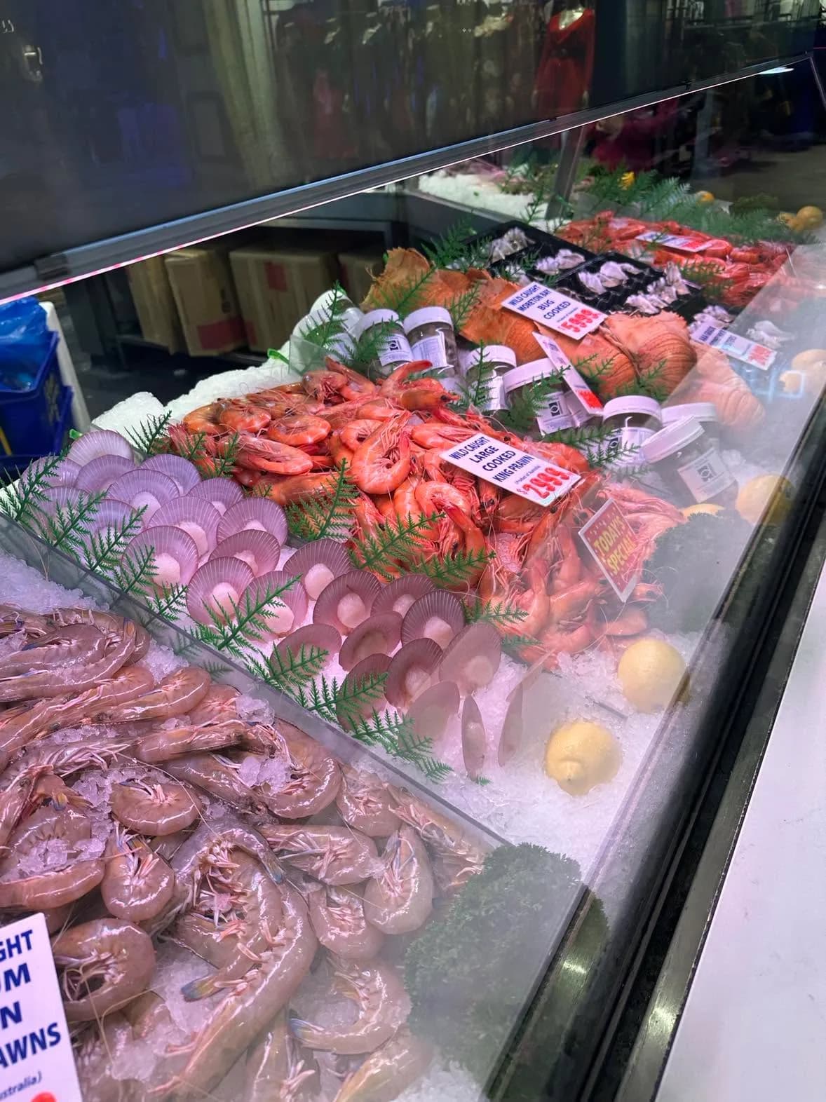 The Wild Fishmonger, Winston Hills